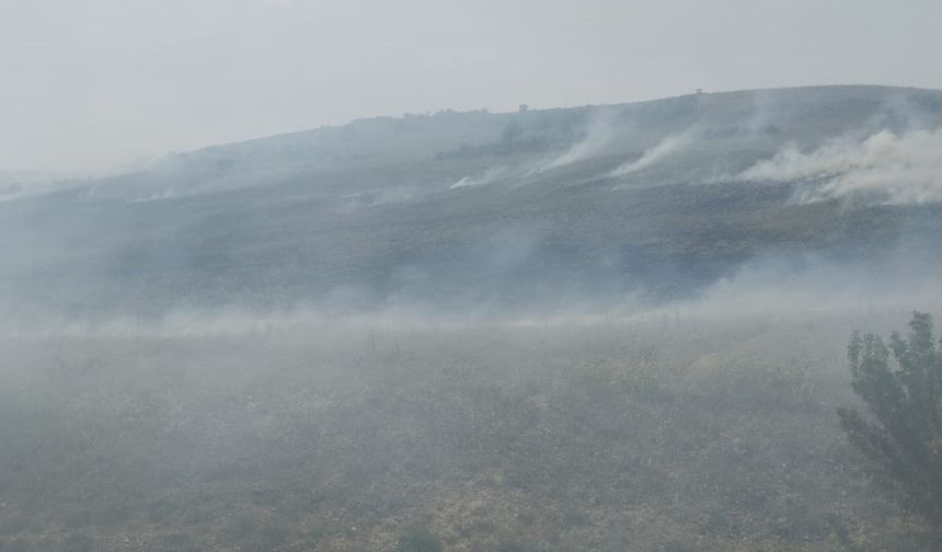 Çivril’de otluk alanda yangın çıktı