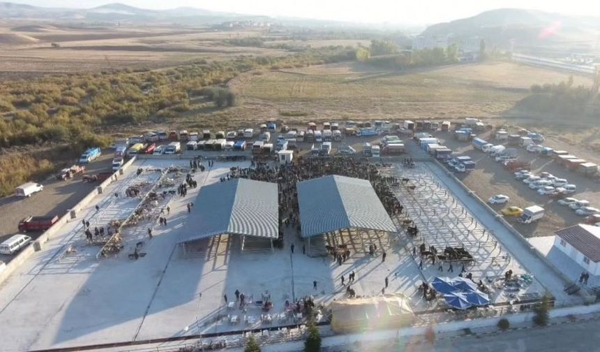 Çorum’da şap hastalığı tespit edilen köy karantinaya alındı, hayvan pazarı kapatıldı