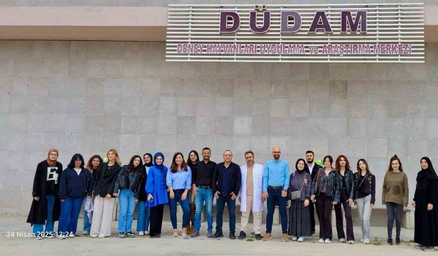 Deneysel çalışmalara kazandırıldı