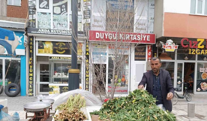 Diyadin’de baharın müjdecisi ışkın ve çiriş tezgahları süslüyor