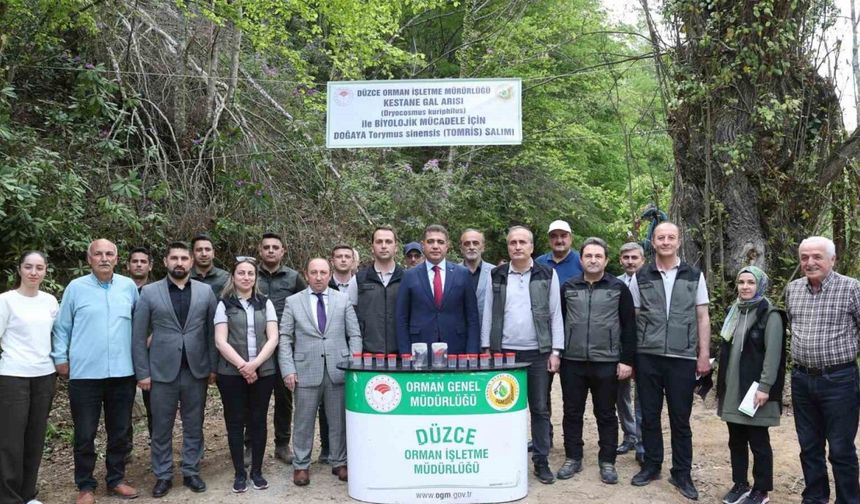 Düzce 80 bin adet böcek salınacak