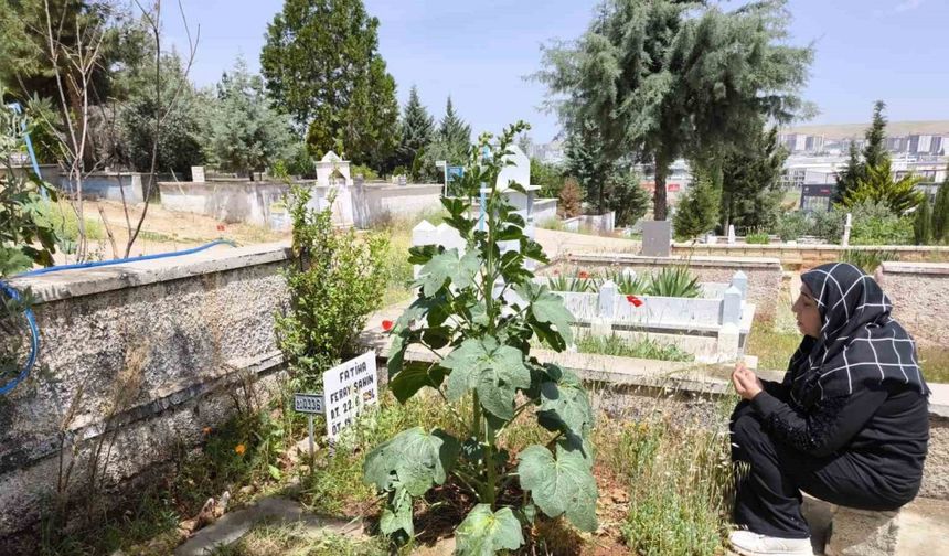 Feray Şahin, Anneler Günü’nde mezarı başında anıldı