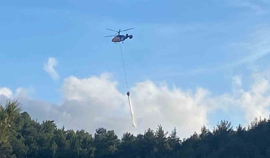 Hatay’da orman yangını