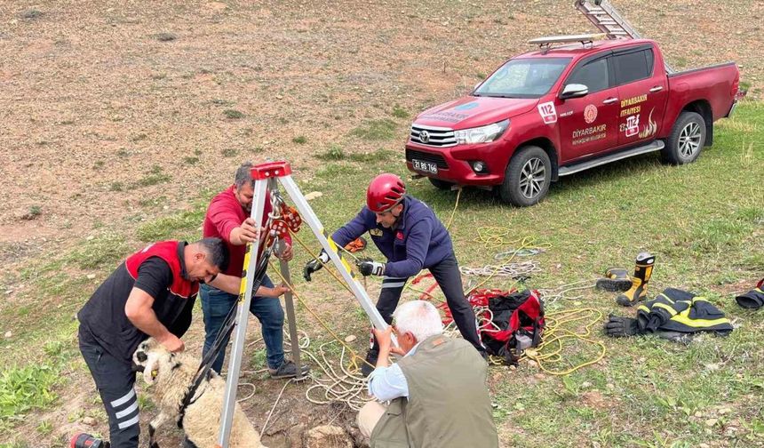 İtfaiye ekipleri kuyuya düşen koyunu kurtardı
