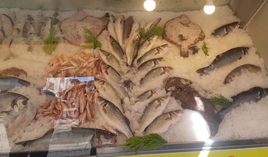 İzmir’de su ürünleri denetimlerinde ceza yağdı