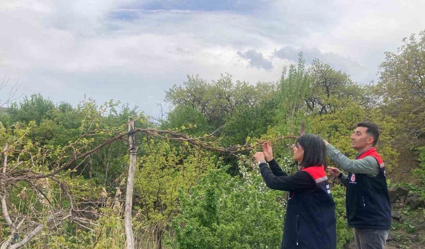 Kars’ta hasat öncesi pestisit kullanımı eğitimi
