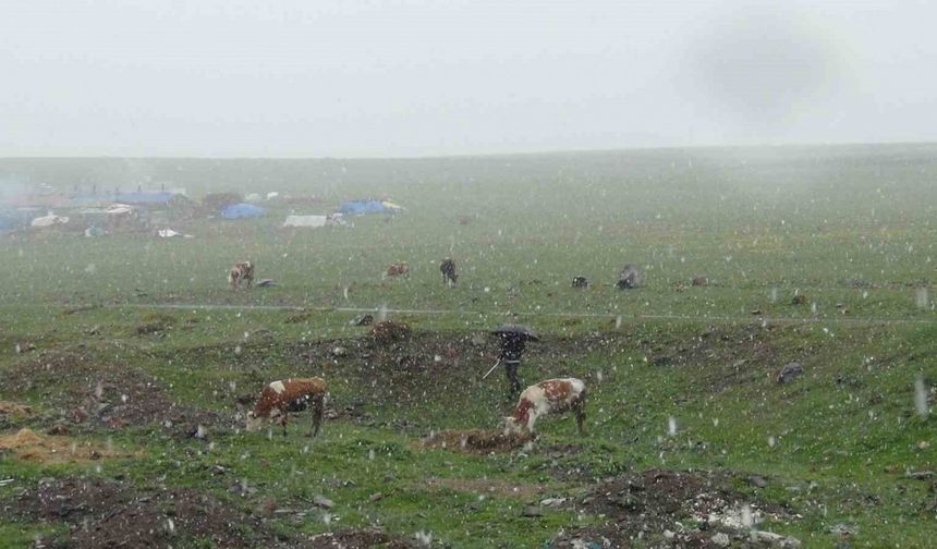 Kars’ta Mayıs karı şaşırttı