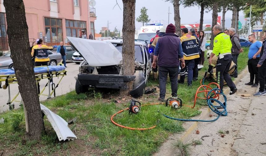 Kontrolden çıkan otomobil refüjdeki ağaca çarptı: 2 yaralı
