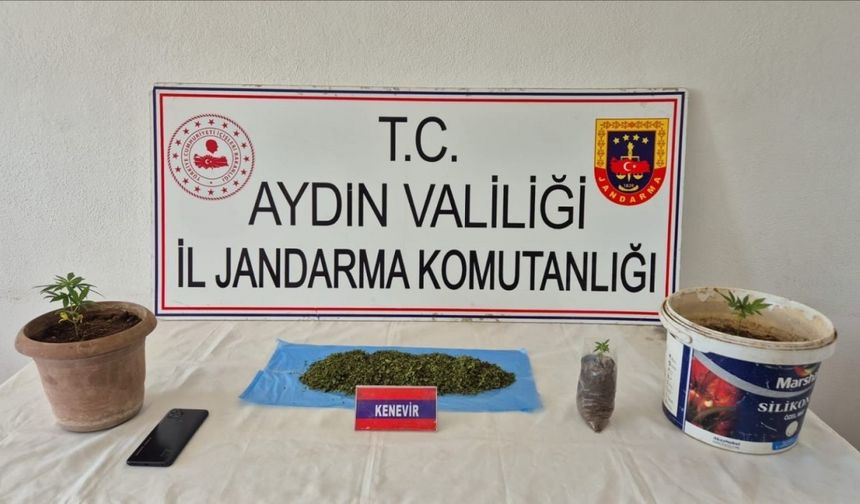 Köşk’te uyuşturucu baskını: 1 gözaltı