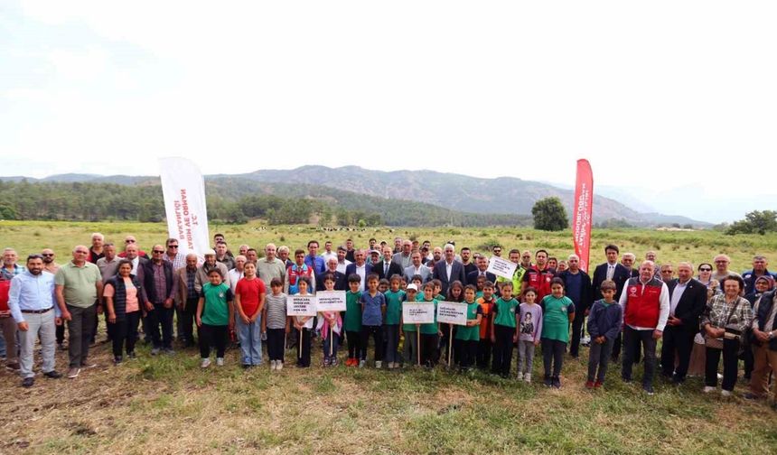 Köyceğiz Döğüşbelen’de 400 dekar meralık alan açıldı