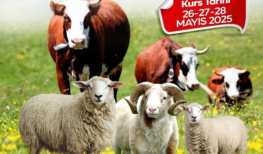 Malatya Büyükşehir Belediyesi’nden kurban kesim kursu