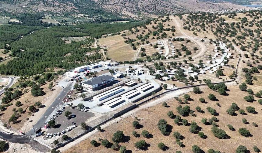 Manisa’da sokak hayvanları için örnek proje hayata geçti