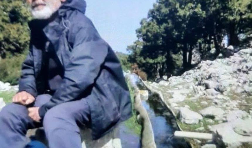 Mantar toplamaya giden dağcıdan 2 gündür haber alınamıyor