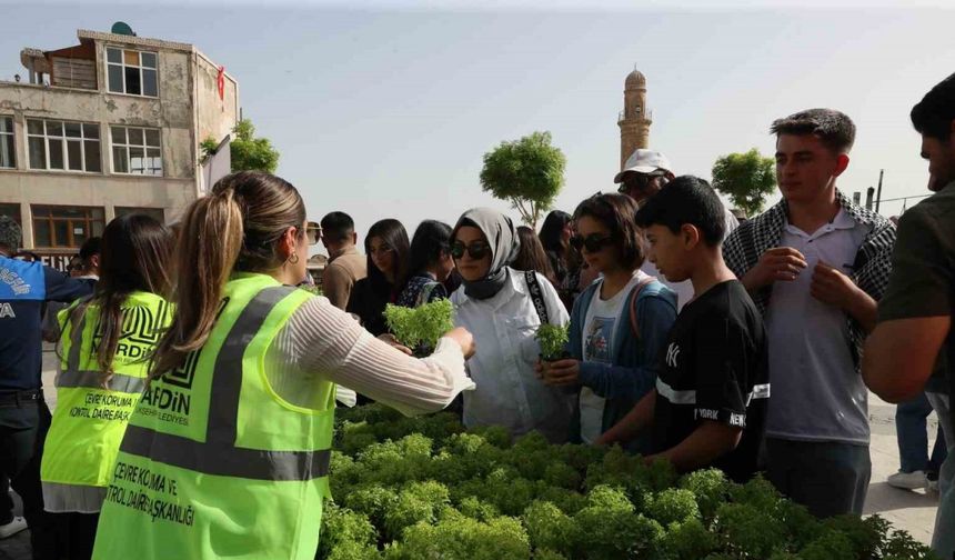 Mardin’de vatandaşlara 60 bin fesleğen dağıtıldı
