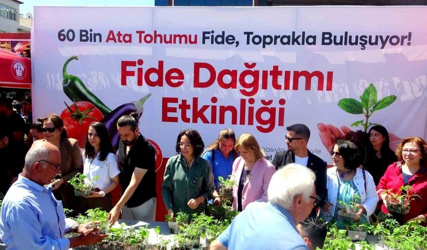 Menteşe Belediyesi 60 bin fide dağıttı