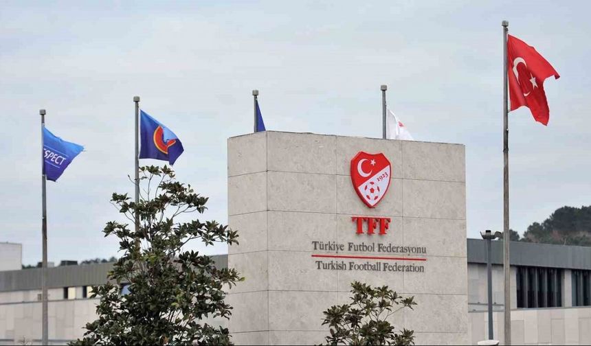 PFDK’dan, Ertuğrul Doğan’a 45 gün hak mahrumiyeti cezası