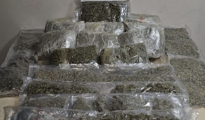 Polis kokuyu aldı, araçtan 19 kilo esrar çıktı