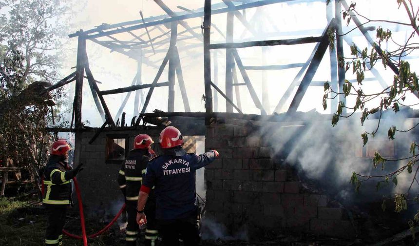 Sakarya’da alevlere teslim olan samanlık küle döndü