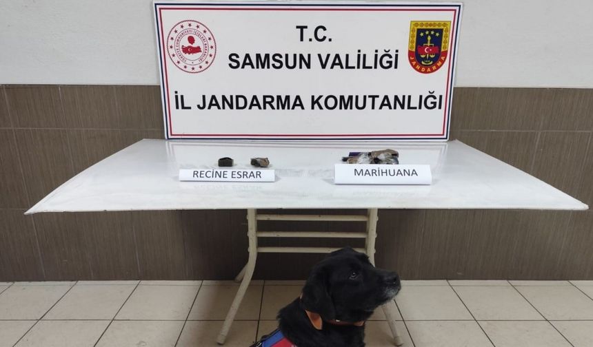 Samsun’da uyuşturucu operasyonu: 1 gözaltı