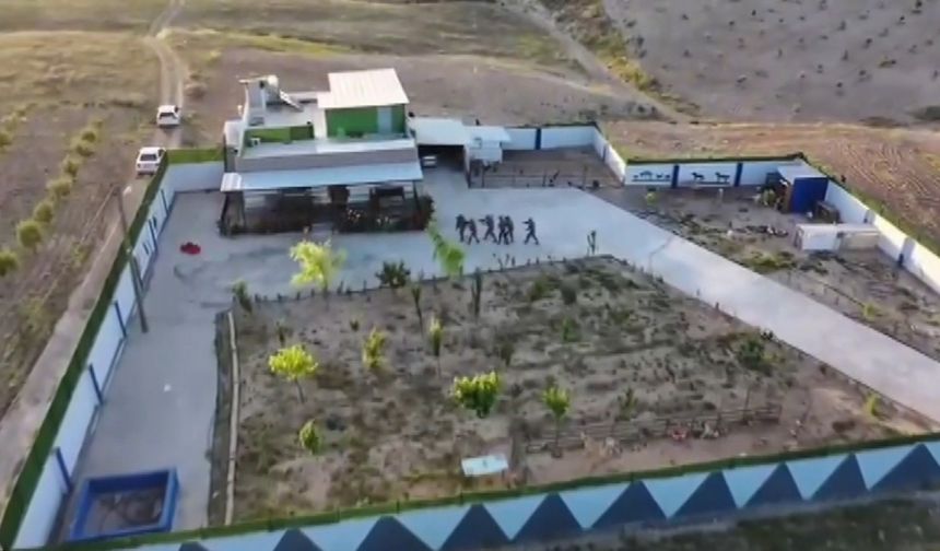 Şanlıurfa’da tefecilik operasyonunda 8 tutuklama