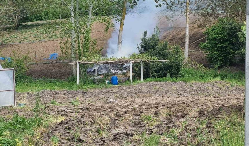 Sinop’ta tarlada yangın paniği