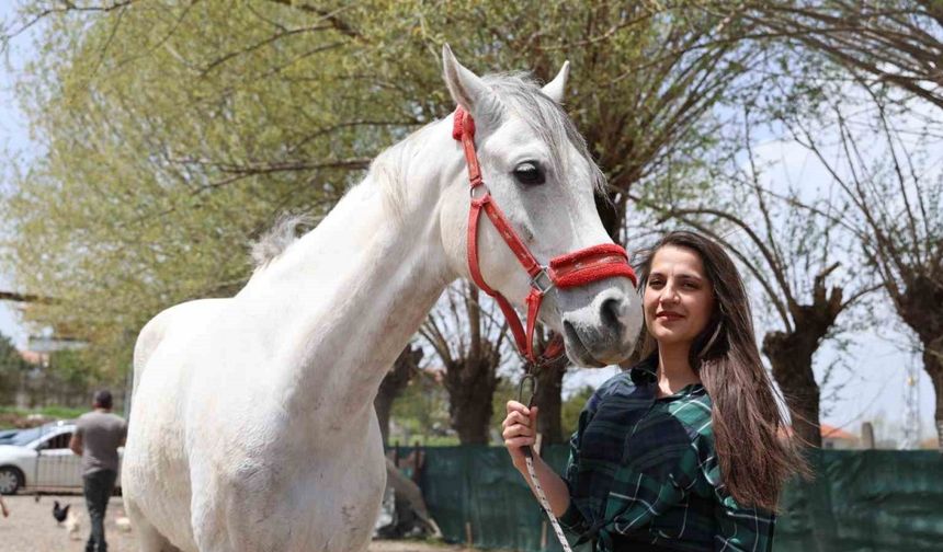 Tarihi dizilerde gördüler, biniciliğe merak saldılar