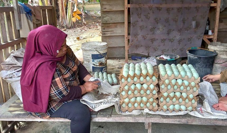 TİKA, Endonezya’da kırsal kalkınmayı destekliyor