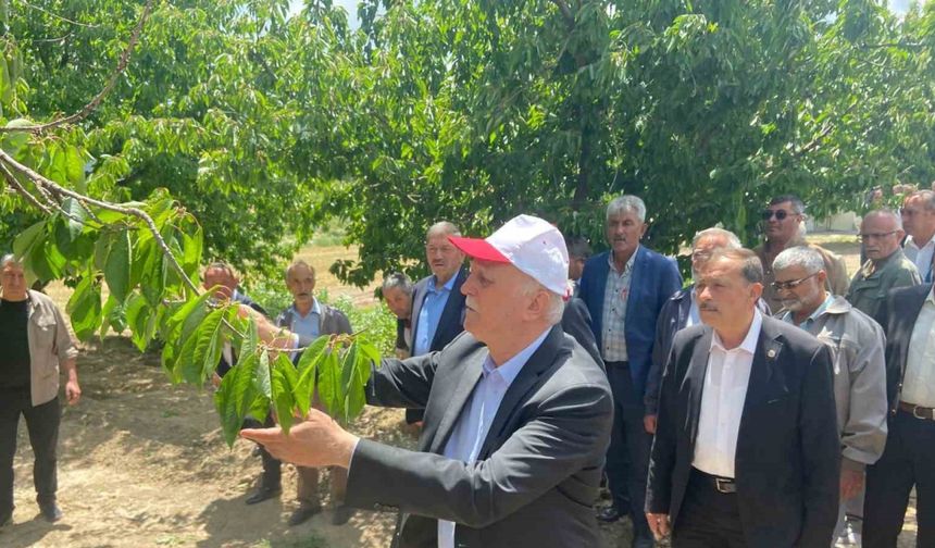 TZOB Başkanı Bayraktar: "65 vilayetimizde büyük bir zirai don felaketi ile karşı karşıya kaldık"
