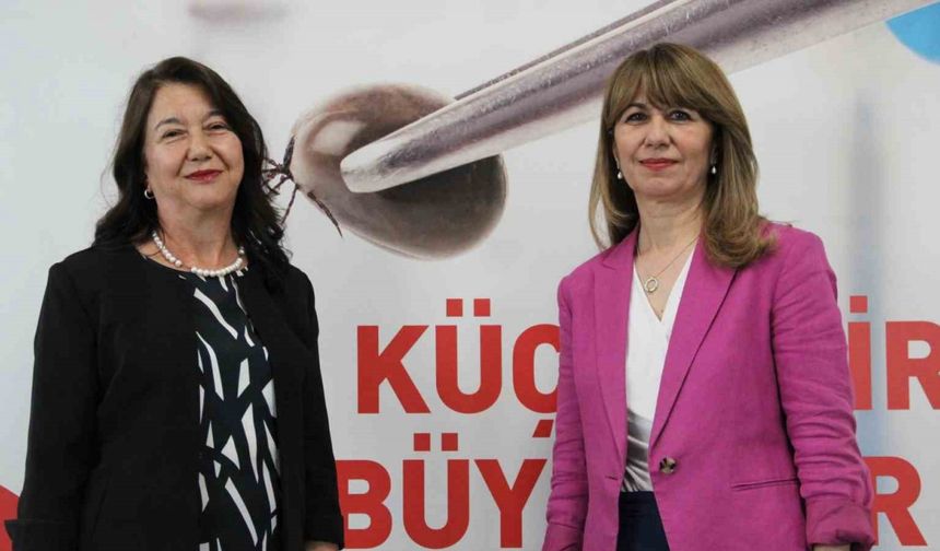 Uzmanından önemli uyarı: Keneyle ilgili doğru bilinen bu yanlışlar virüs riskini arttırıyor