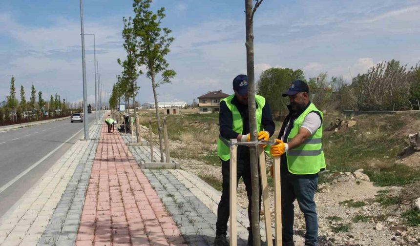 Van Büyükşehir Belediyesinden sahil yolunda çalışma