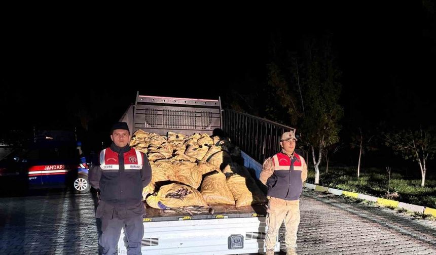 Van’da 3 ton 820 kilo kaçak avlanmış balık ele geçirildi
