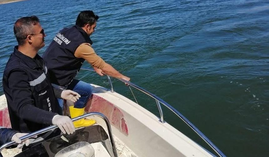 Van’da sazangiller için av yasağı başladı