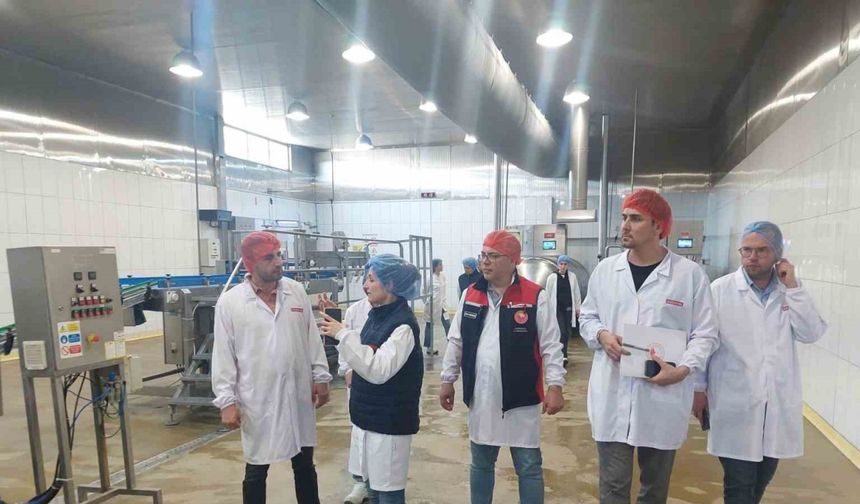 Yem üretim tesislerine detaylı denetim