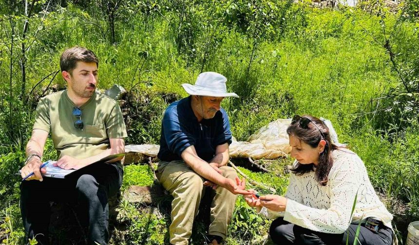 Yüksekova’da sağlık taraması için köy köy geziyorlar
