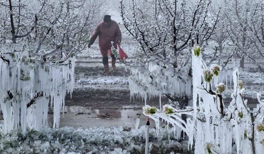 Zirai Don Meclis Araştırma Komisyonu 14 Mayıs’ta toplanıyor