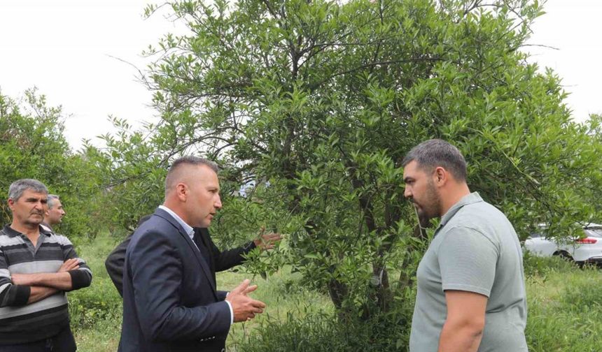Zirai donun yaraları Büyükşehir’in desteğiyle sarıldı
