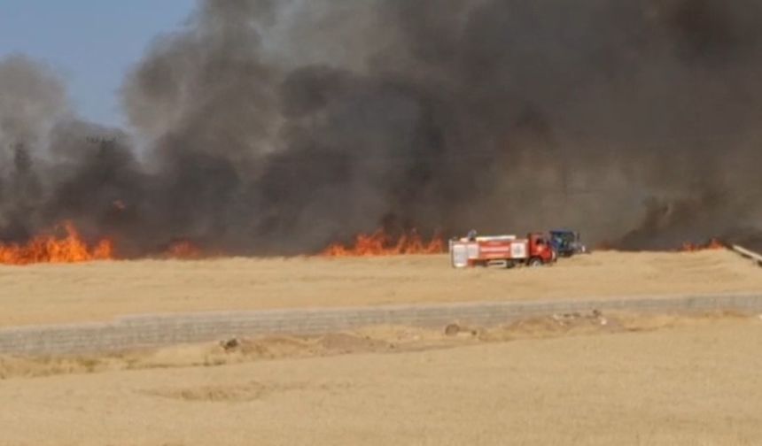 Araban Ovası’nda hasada hazır 50 dönüm buğday yandı