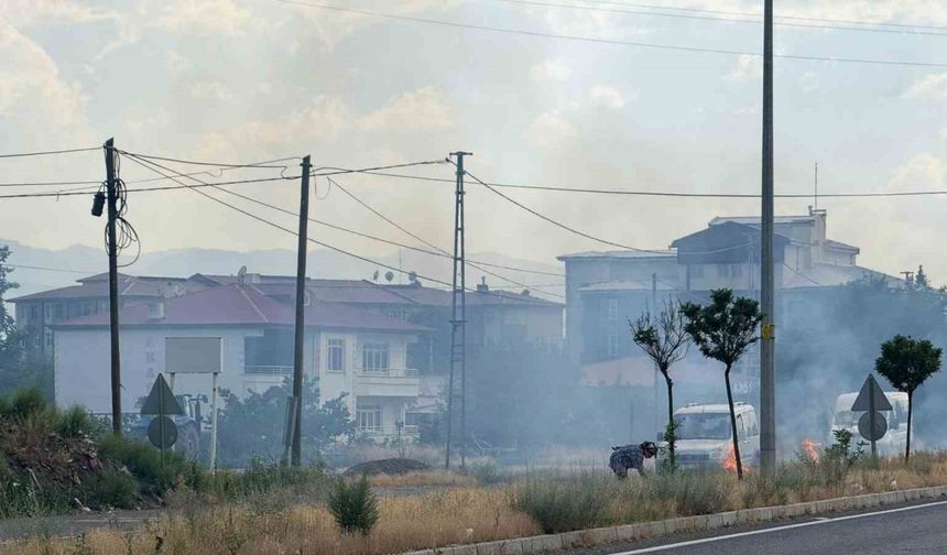 Iğdır’da yaşlı kadın uluslararası yolun ayırıcı kısmındaki otları ateşe verdi