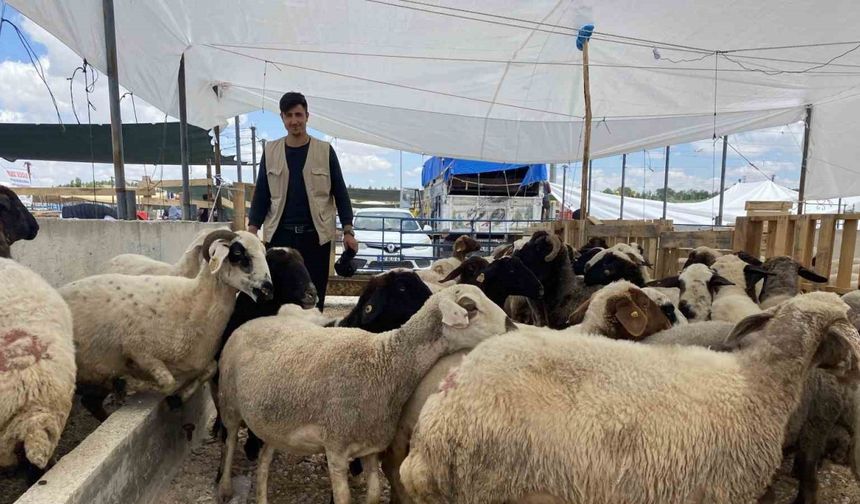 Konya’da kurban satıcıları yarını bekliyor