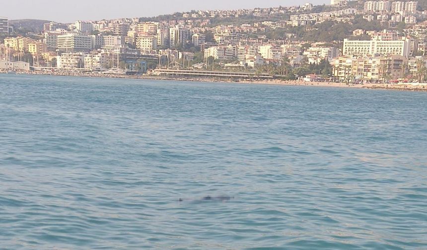 Kuşadası’nda denizde ceset bulundu