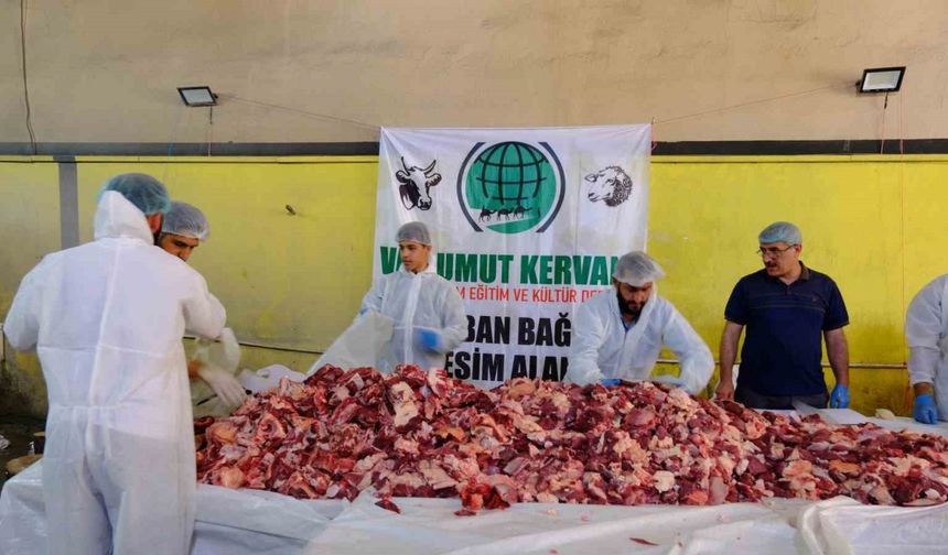 Van’da geleneksel toplu kurban kesimi