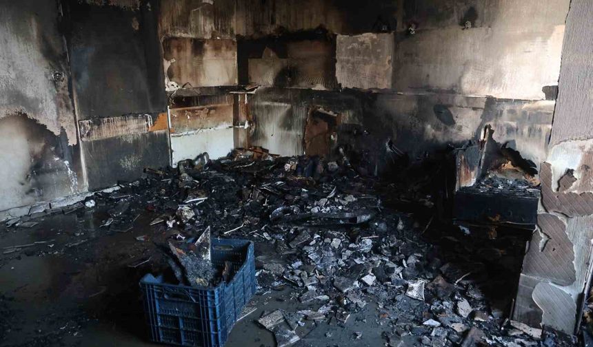 Ailecek gezmeye gitmişlerdi, eve geldiklerinde kullanılacak eşya kalmayan mutfakla karşılaştılar