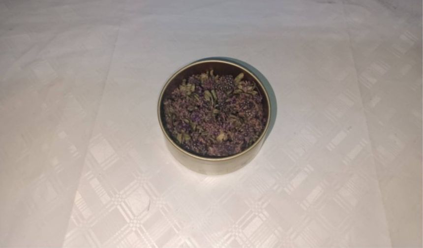 Artvin'de endemik yayla çayı çiçeği kaçakçılığına Jandarma engeli