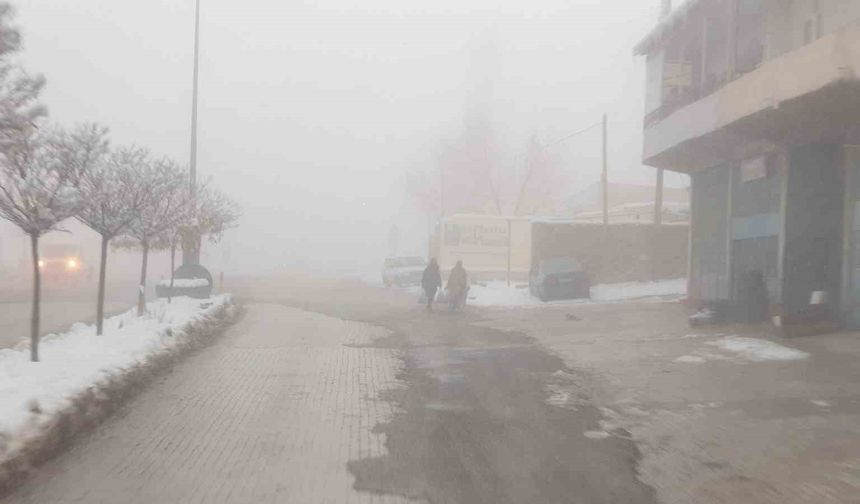 Başkale'de sis etkili oldu