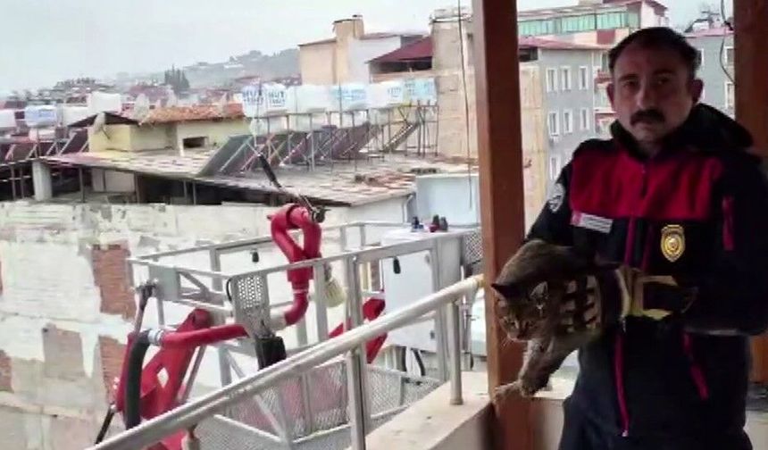 Kedi kurtarma operasyonuyla gönülleri fetheden itfaiye ekibine alkışlı teşekkür