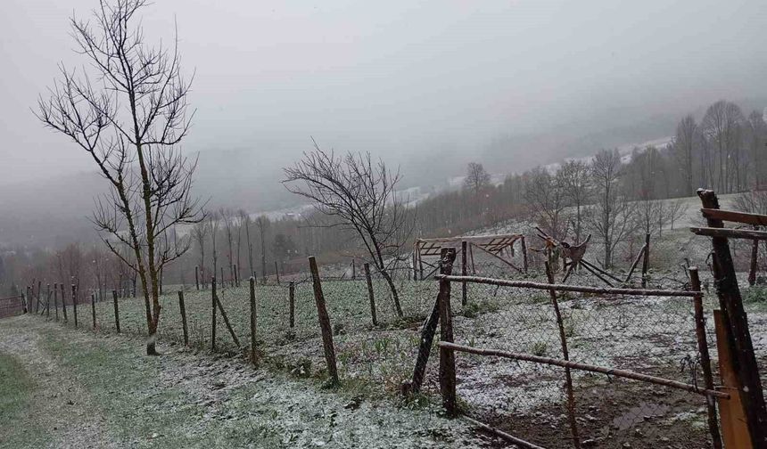 Sakarya'nın yüksek kesimleri beyaza büründü