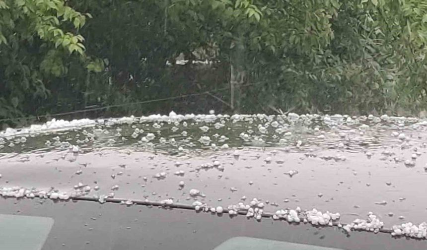 Bingöl'de dolu yağışı etkili oldu