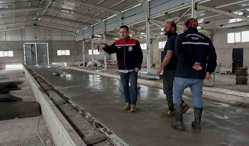 Çatıksu'da modern büyükbaş ahırı inşa ediliyor