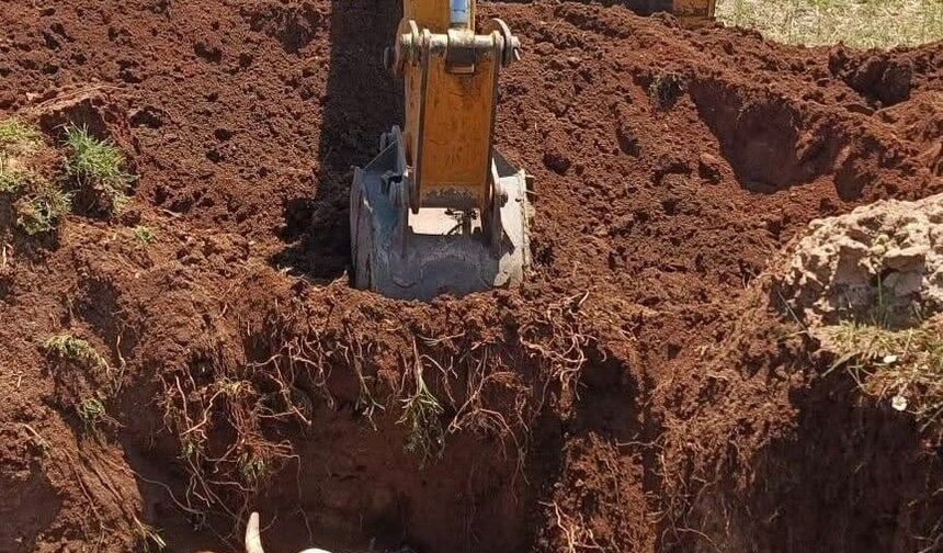 Ekipler seferber oldu, çukura düşen inek kurtarıldı