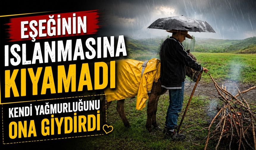 Eşeğinin ıslanmasına kıyamadı, kendi yağmurluğunu ona giydirdi